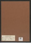 Hemiaulus subsymetricus Grun. (de-Toni-Nr.: Genus 117, Species 3338) Zeichnungen Sammlung Grunow Mappe 03549 (Herbarium_W_Grunow_drawings_Folder_03549)